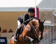 AMILIBIA NOTRE STAR LaBaule2013- S4 8742 : 2013, AMILIBIA PAOLA, La Baule, NOTRE STAR DE LA NUTRIA, foto di Stefano Secchi